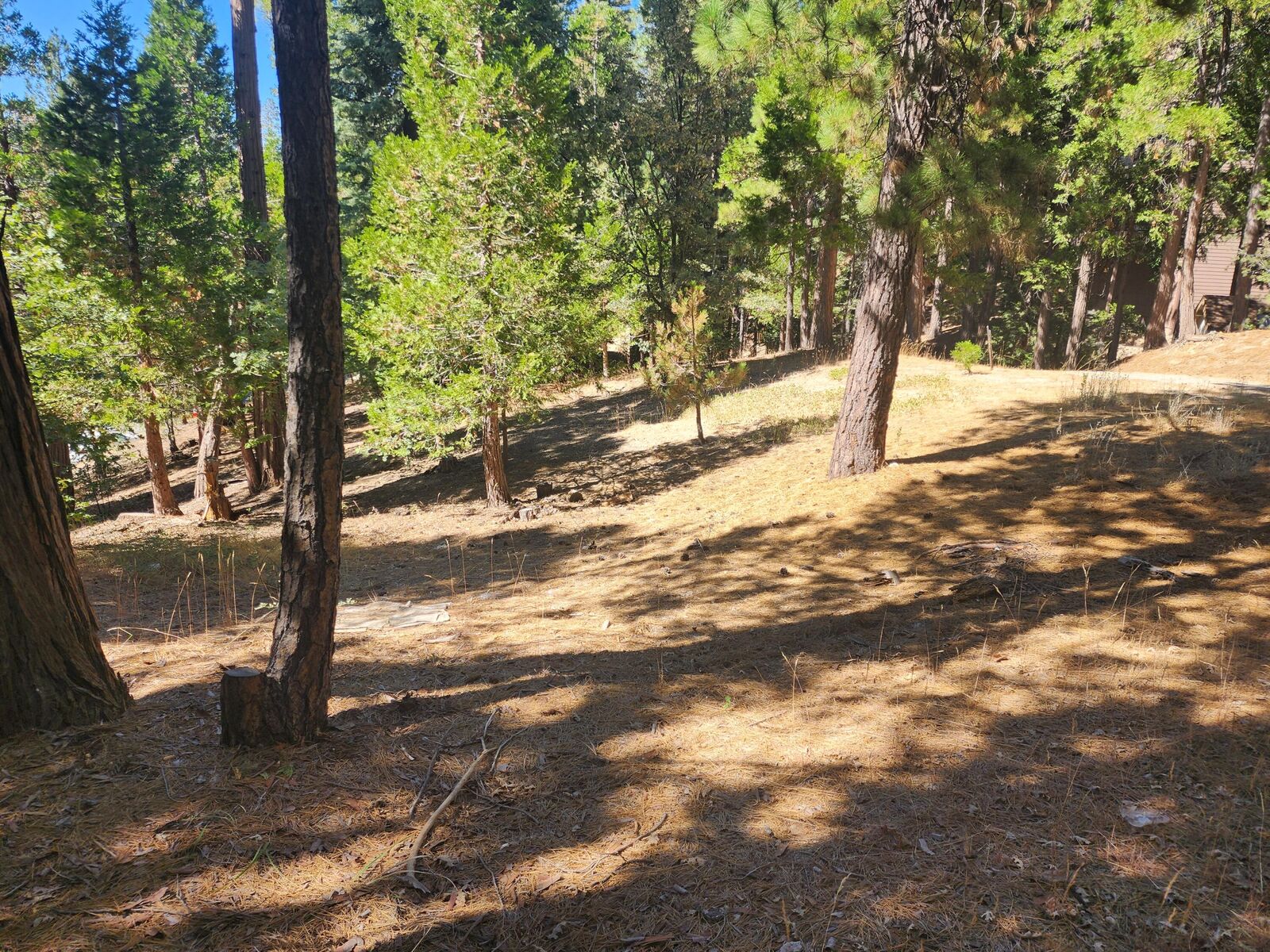 Property Photo: 0 Grass Valley CA 92352