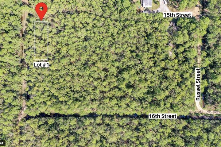 Property Photo:  Lots 1,2,3 N 15th Street  FL 32459 