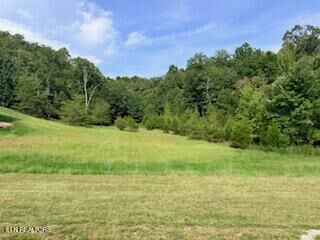 Property Photo: Lot 398 W Mountain Drive TN 37854
