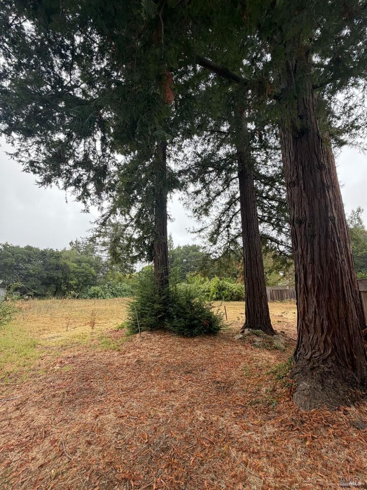 Property Photo:  1741 Pine Street  CA 94559 