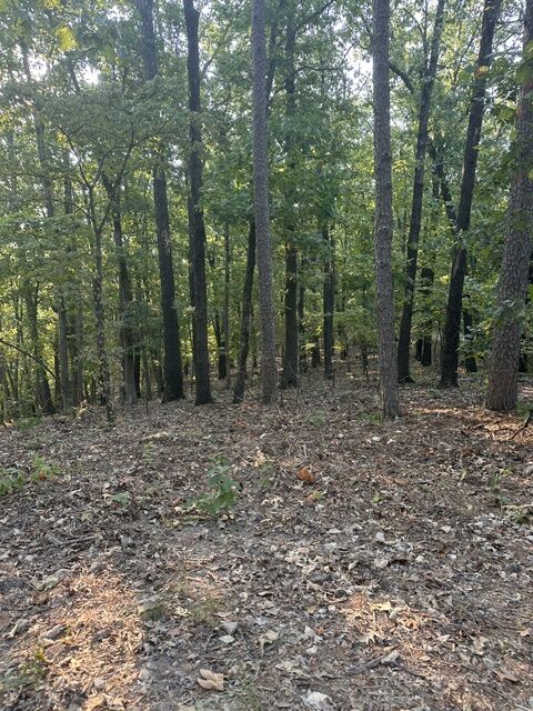Property Photo:  Tbd Windsong Lane  AR 72631 