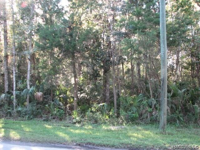 Property Photo:  0 S Suncoast Boulevard  FL 34429 