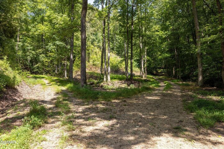 Property Photo:  1080 Hembree Hollow Road  TN 37882 