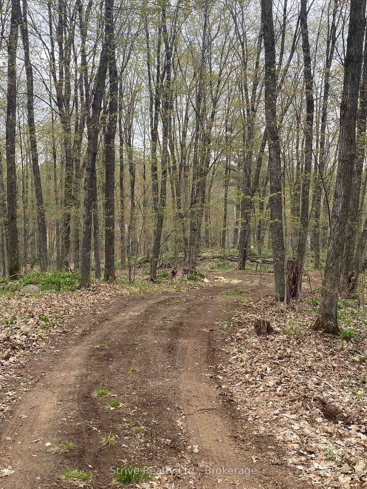 Property Photo:  0 Kendrick Creek Lane  ON K0M 2K0 