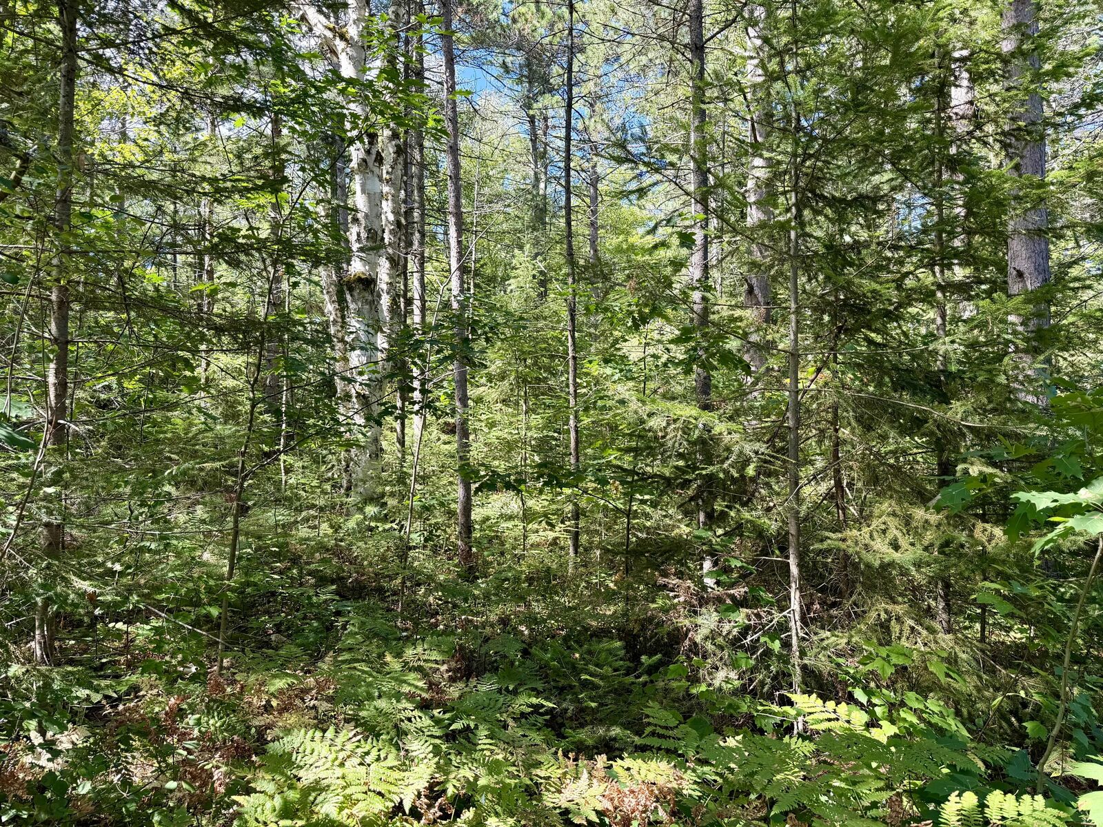 Property Photo: V/L Yvonne Avenue MI 49721