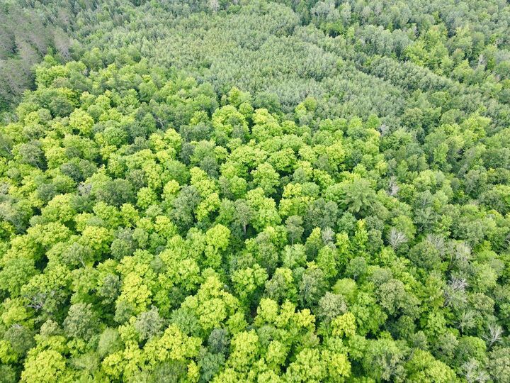 Property Photo: Lot 3 David Road WI 54435