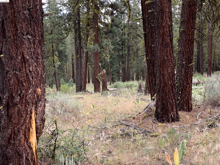 Property Photo: 00000 West Wing CA 96127