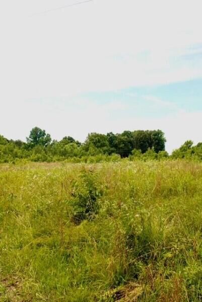 Property Photo:  482 Friendship Lane  TN 37325 