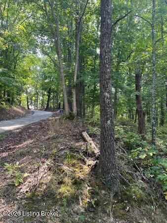Property Photo:  Tr 13 Samples Ln  KY 40076 