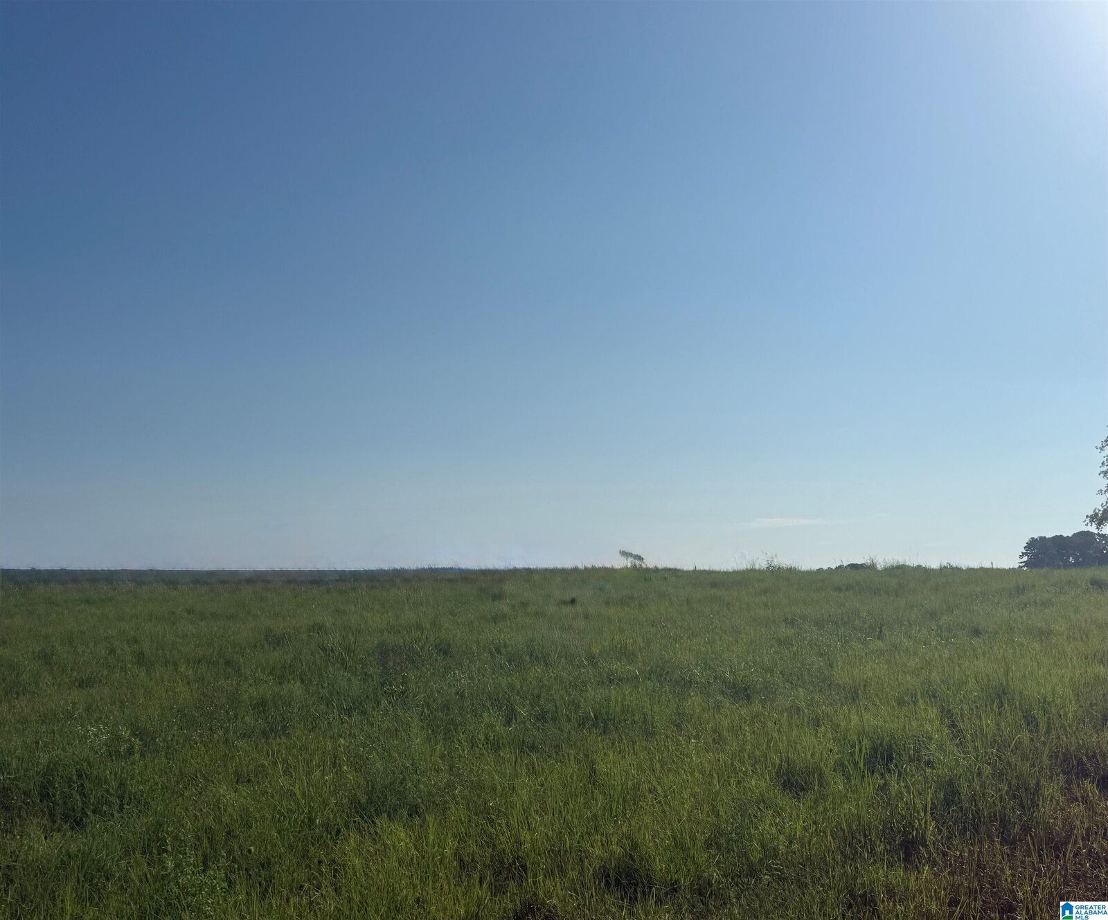 Property Photo:  Lot 32 County Road 1464 32  AL 35058 