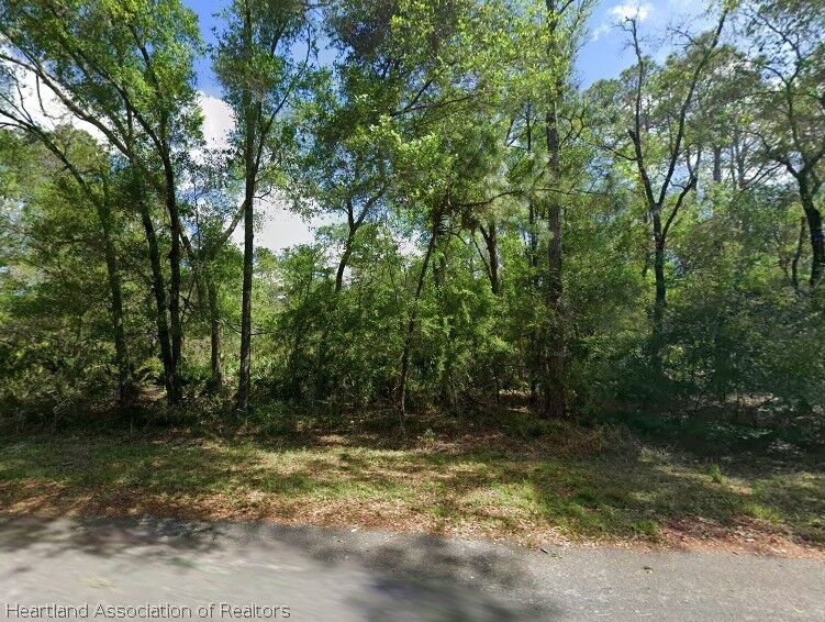 Property Photo: 11476 W Cockscomb Drive FL 34428