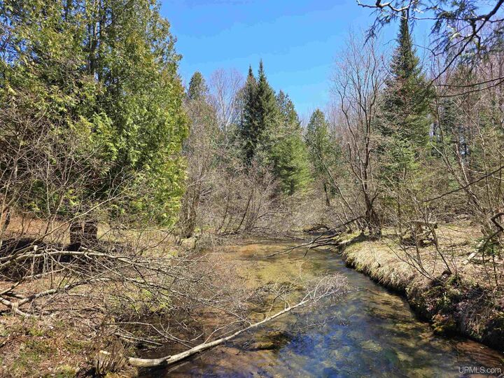 Property Photo:  3 Hidden Creek Drive  MI 49855 