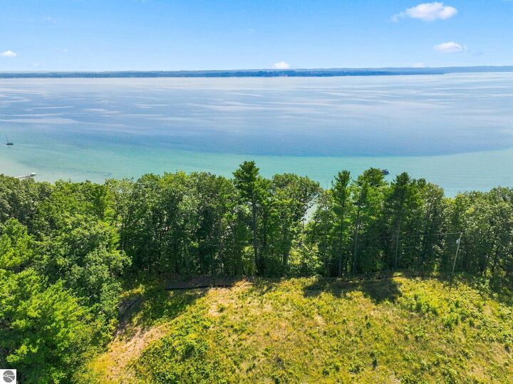 Property Photo: 00000 Bluff Road MI 49686