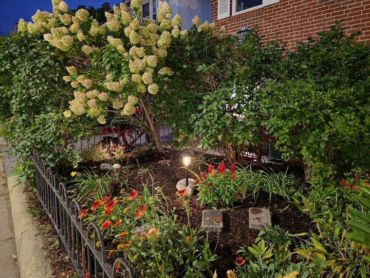 Property Photo:  219 Massachusetts 4  MA 02474 