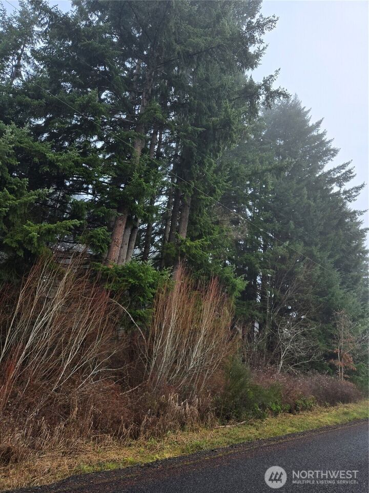 Property Photo: 0 Clinton Road WA 98532