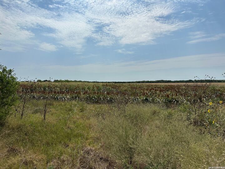 Property Photo: 3640 Freudenburg Rd TX 78109