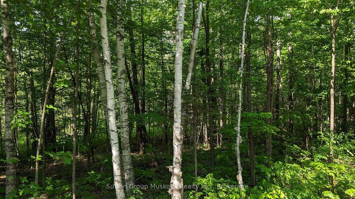 Property Photo:  Lot 1 Tally-Ho Winter Park Road  ON P1H 2E8 
