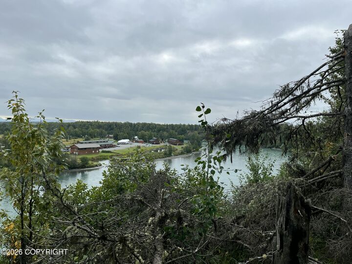 Property Photo: 36616 Virginia Drive AK 99611