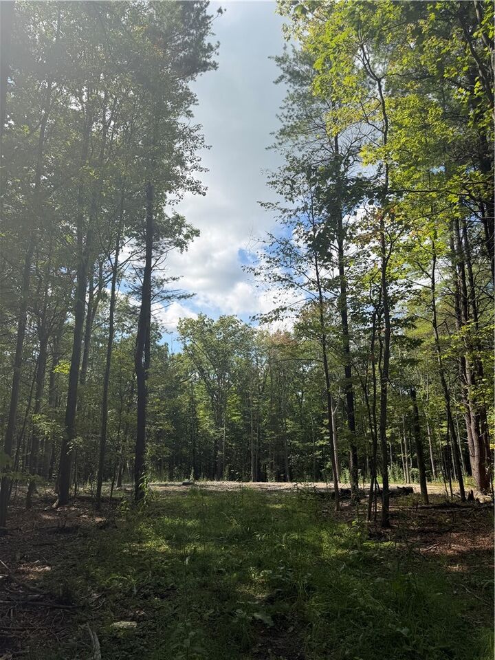 Property Photo: 000/Lot 6 Prospect Ridge NY 14814