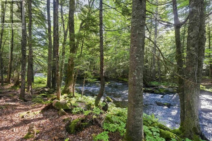 Property Photo:  58 Pioneer Drive  NS B0N 2T0 