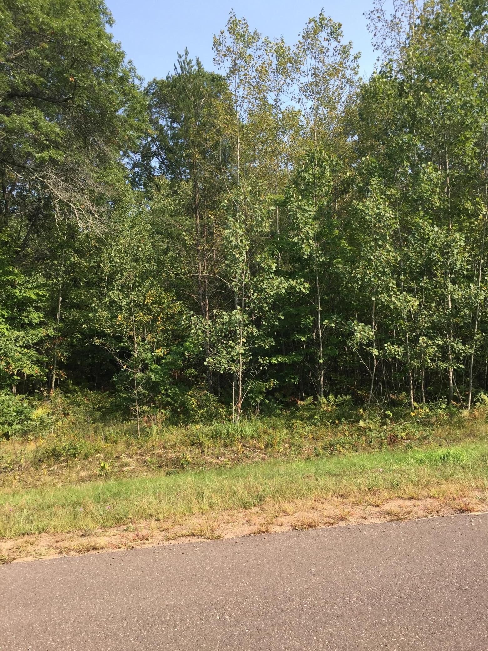 Property Photo:  Lot 32 Shady Lane  WI 54872 