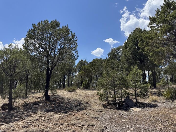 Property Photo: 7 Dancing Hawk Drive NM 87552