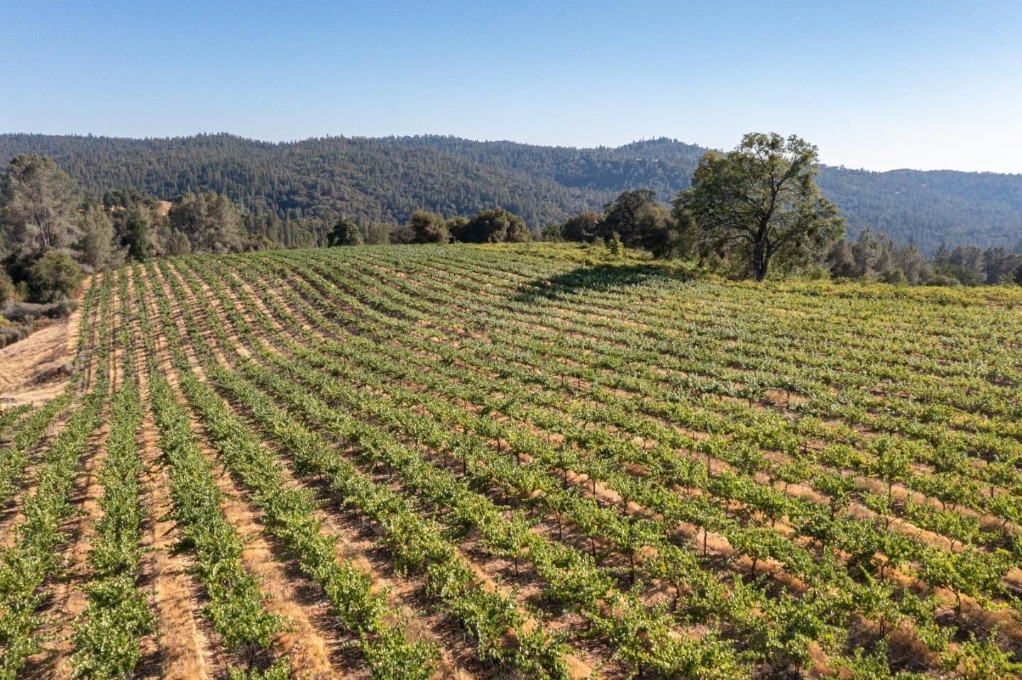 Property Photo: 5200 Butte Creek Road CA 95684