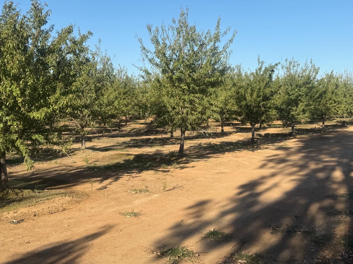 Property Photo: 7967 Nicolaus Road CA 95648