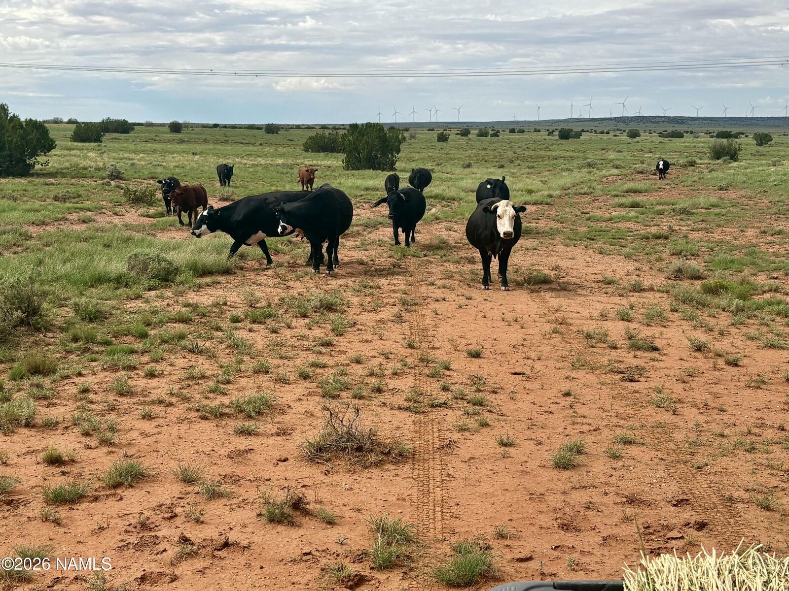 Property Photo: 101 Duck Lake Road AZ 85298