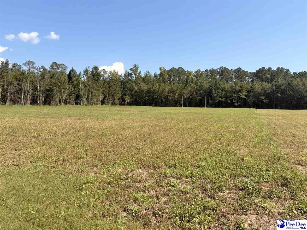 Property Photo:  1420 Kelley Rd.  SC 29114 