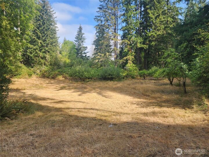 Property Photo:  11719  Hobby Street SE  WA 98597 