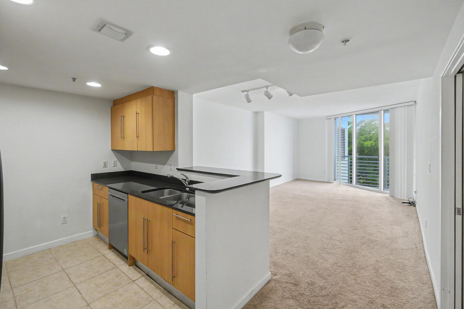 Property Photo:  335 S Biscayne Boulevard 1002  FL 33131 