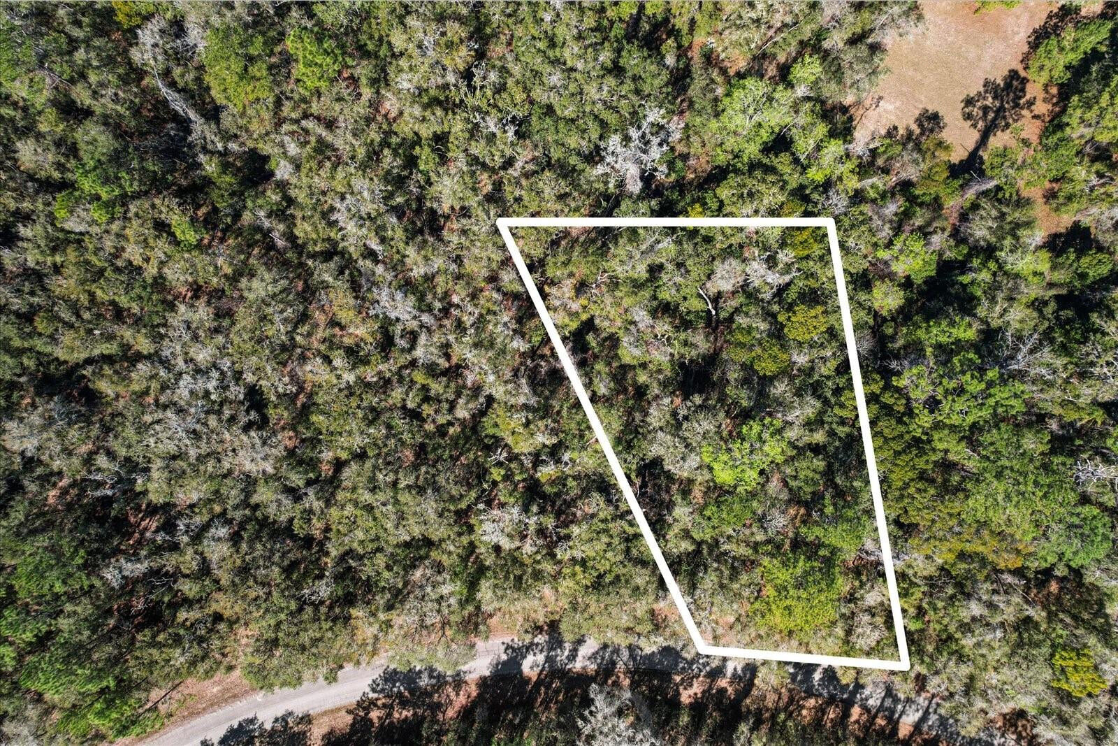 Property Photo:  987 E Odin Drive  FL 34434 