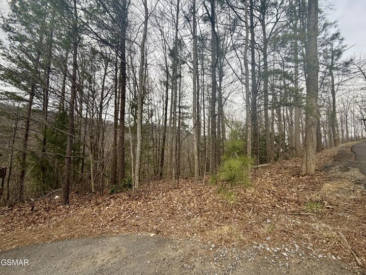 Property Photo: Lot 6 Thissa Way TN 37738