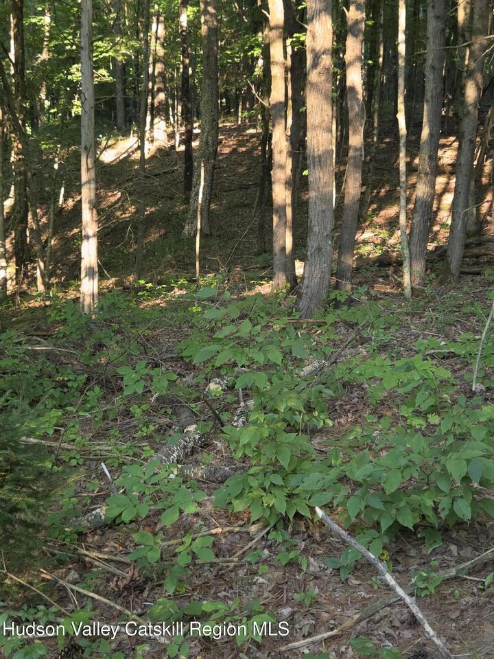 Property Photo:  Tbd Blackberry Hill Rd.  NY 12567 