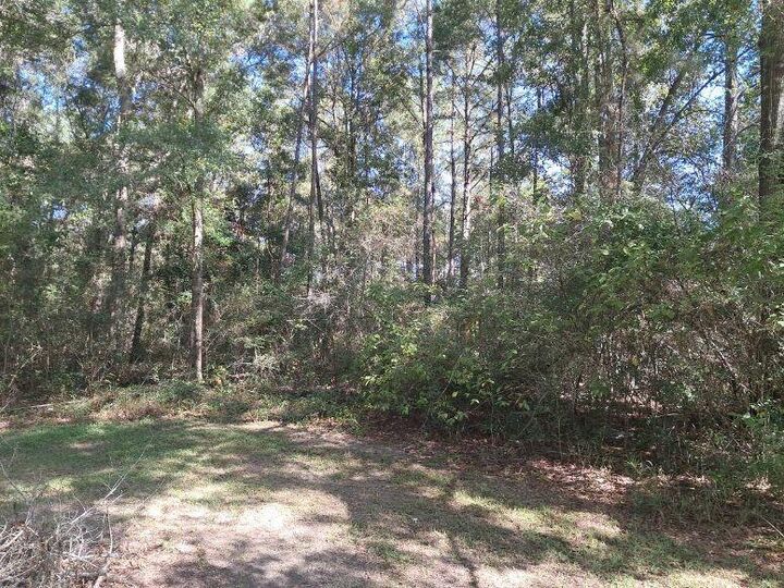 Property Photo: 351 Niemeyer Ln. MS 39455