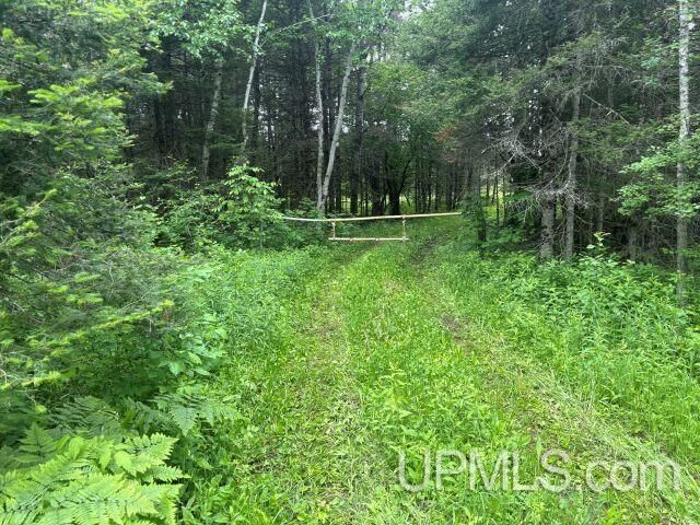 Property Photo: 42.25 Lane Common MI 49880