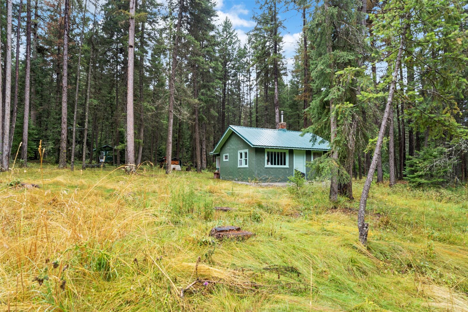 Property Photo:  26222 Butler Creek Road  MT 59846 