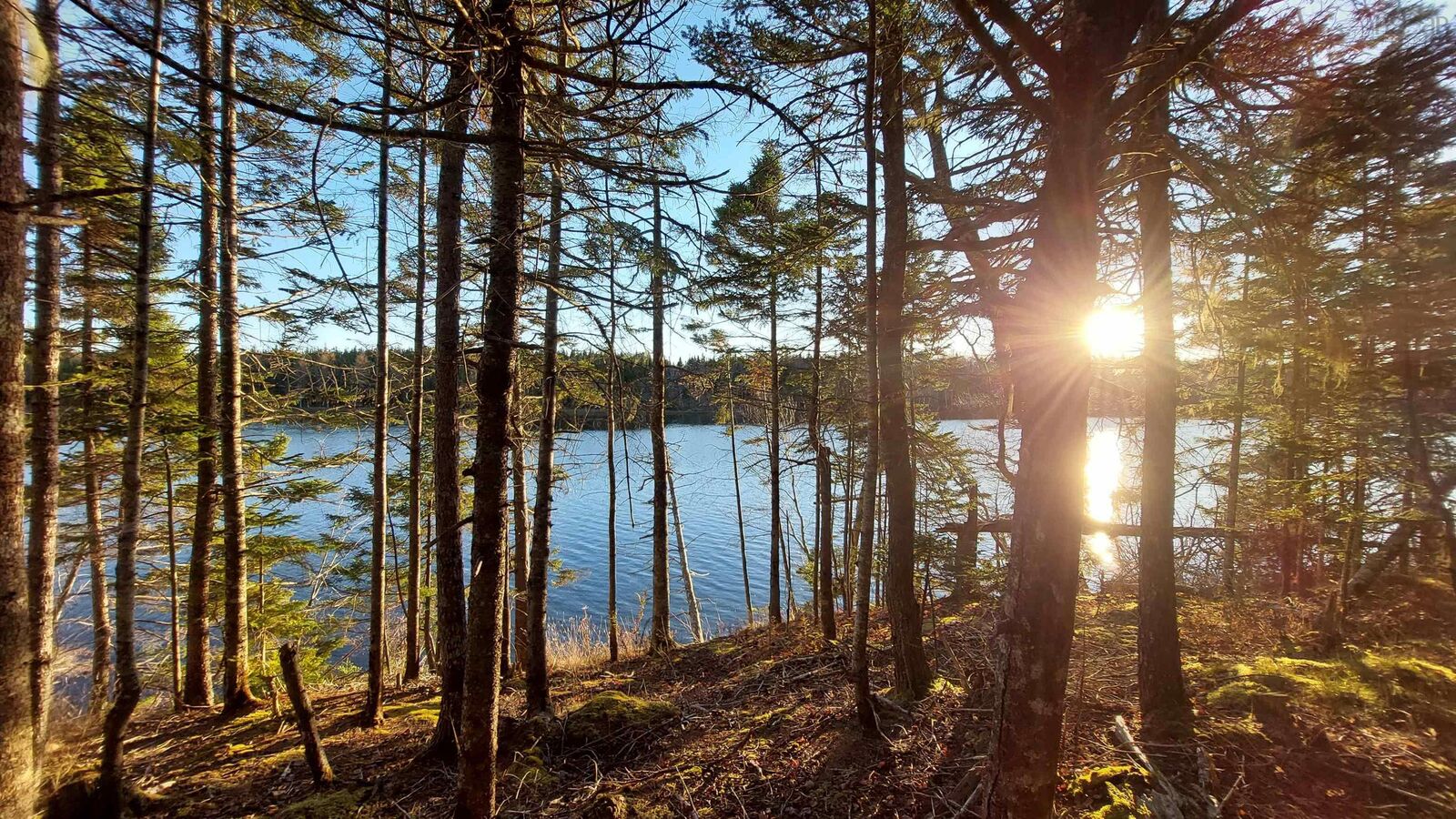 Property Photo:  Lot 28 Helmuts Lane  NS B0E 1J0 