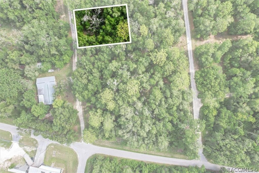 Property Photo:  751 S Norma Avenue  FL 34453 