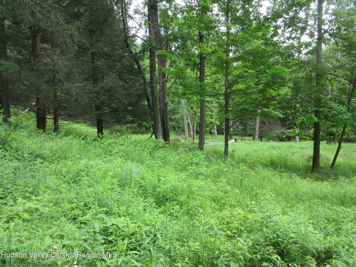 Property Photo:  0 Airport Rd, Lot #4  NY 12452 