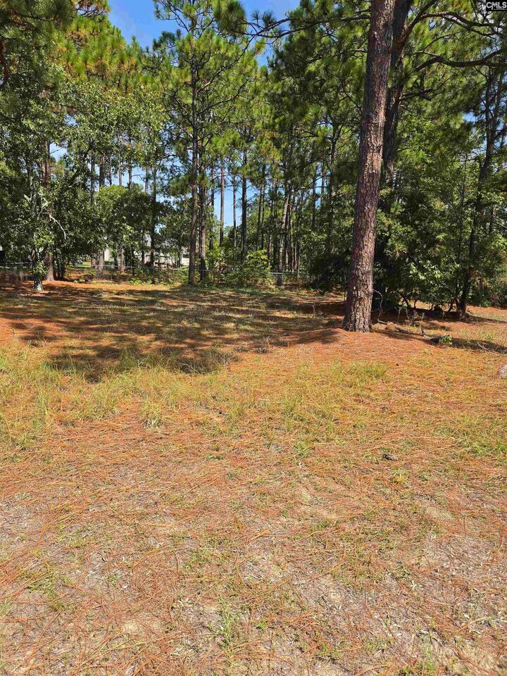 Property Photo: 220 Branch Hill SC 29045