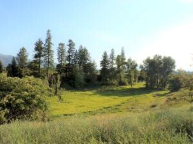 Property Photo: 781 H Hwy 395 N WA 99141