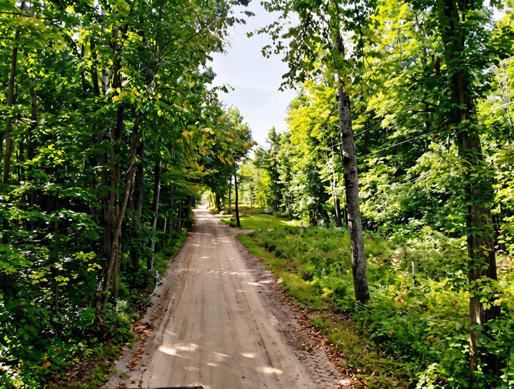 Property Photo: 3397 Indian Road MI 49716