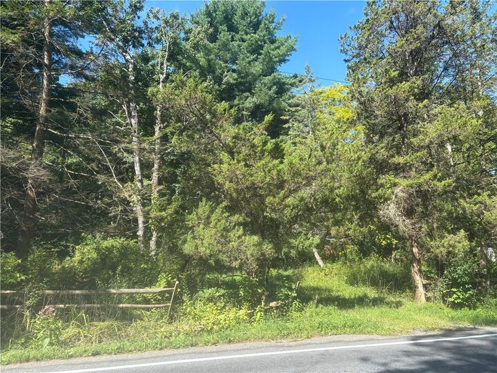 Property Photo:  520 Sheldon Road  NY 13068 