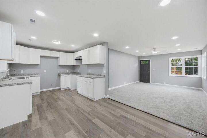 Property Photo:  208 Elm Street  MO 63664 