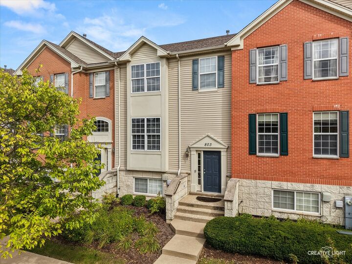 Property Photo:  803 Brodhead Drive  IL 60504 