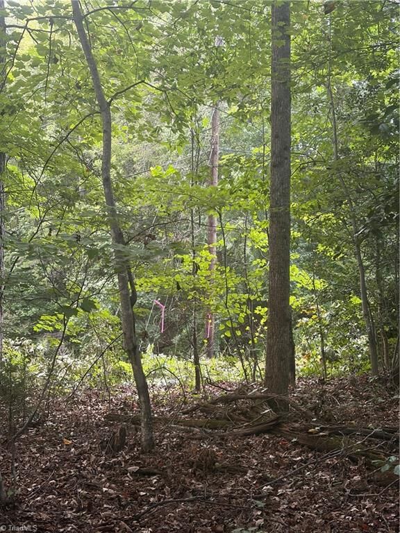 Property Photo: Lot 2 Edgewood Road NC 28697