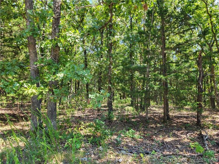 Property Photo: Trinchera Road 3944 & 3945 MO 65326
