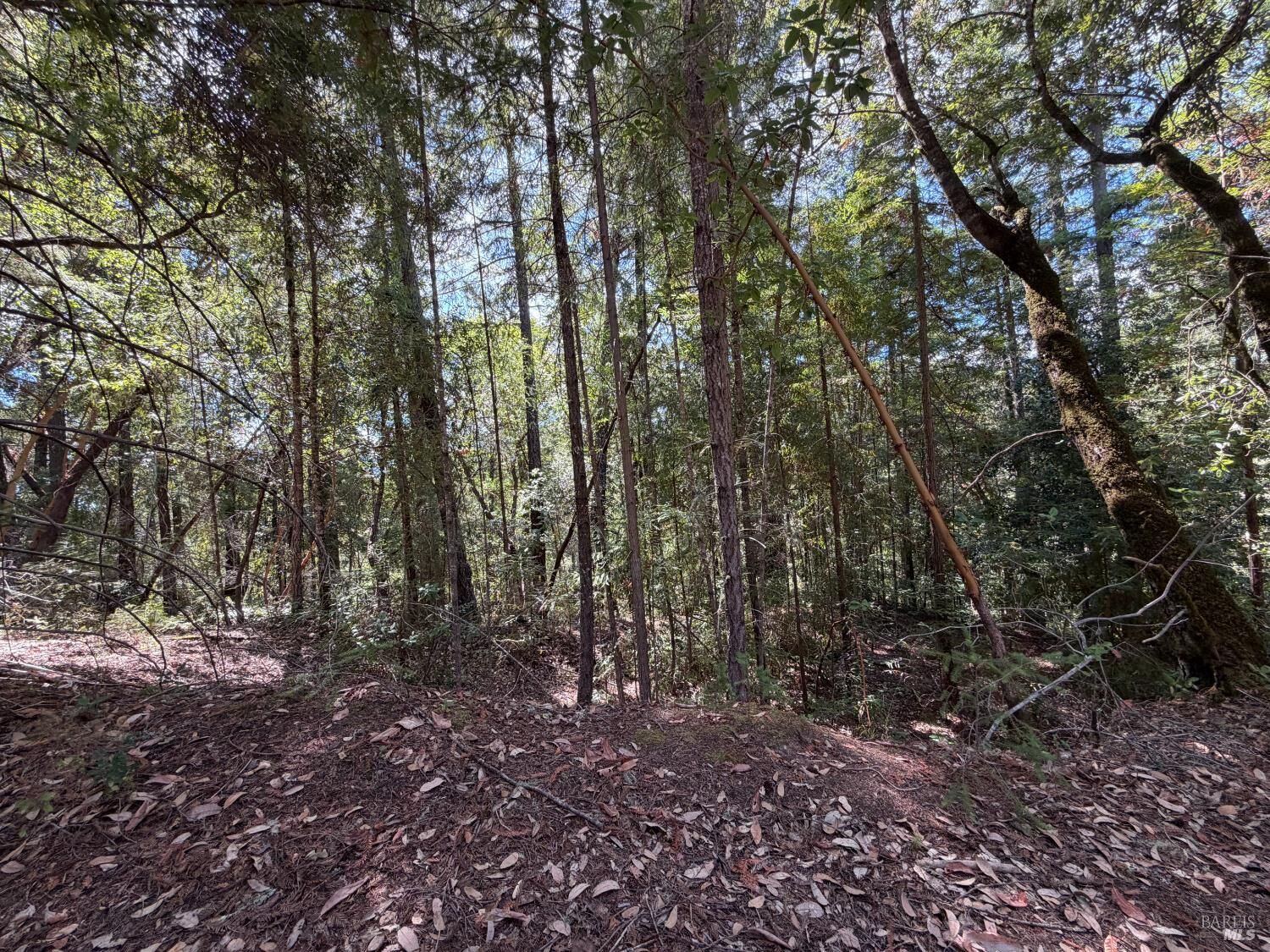 Property Photo:  6911 Timber Drive  CA 95472 
